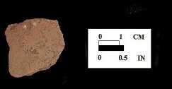 Shenks Ferry body sherd (exterior surface) from the Perry Point site I-5, 18CE256/4.